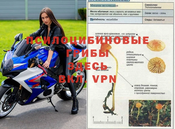 гидра Алзамай