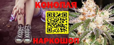 Альфа ПВП Камышлов