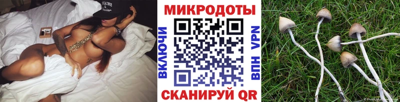 MEGA как войти  Лабинск  Псилоцибиновые грибы GOLDEN TEACHER 