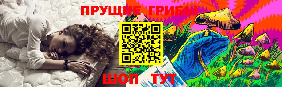 Лабинск  Галлюциногенные грибы Psilocybine cubensis  Вход с VPN 
